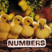 Cover of Numbers by Judith Nouvion