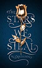 Front cover of The stars we steal by Alexa Donne