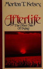 Front cover of Afterlife by Morton T. Kelsey