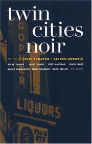Front cover of Twin Cities Noir (Akashic Noir) by Julie Schaper