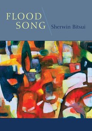 Cover of Flood song by Sherwin Bitsui