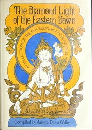 Cover of The diamond light by Janice Dean Willis