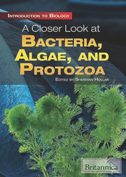 Front cover of A closer look at bacteria, algae, and protozoa by Sherman Hollar