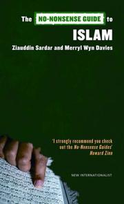 Front cover of No-nonsense Guide to Islam (No-Nonsense Guides) by Ziauddin Sardar