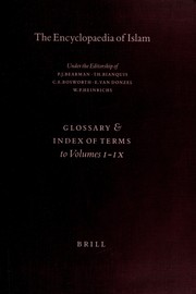 Cover of The Encyclopaedia of Islam, new edition by P. J. Bearman