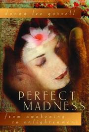 Cover of Perfect madness by Donna Lee Gorrell