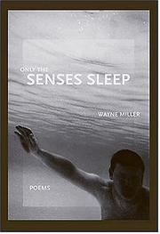 Cover of Only the Senses Sleep by Wayne Miller