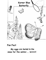 Front cover of The endangered species coloring book (A Price/Stern/Sloan coloring experience) by Ruth Heller