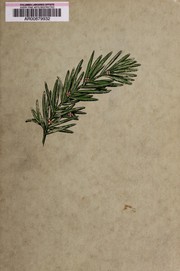 Front cover of Life and manners in Madrid by Charles Emil Kany