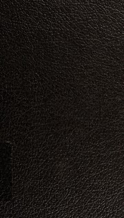 Cover of Why chimps can read by Ann J. Premack