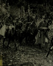 Front cover of Partisans and Guerrillas (Time-Life's World War II, Vol. 12) by Ronald H. Bailey