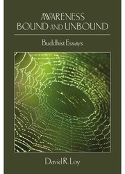 Cover of Awarenes bound and unbound by David Loy
