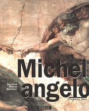 Cover of Michelangelo by Charles Sala