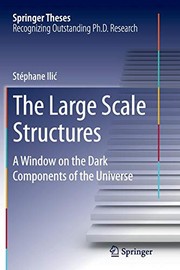 Cover of The Large Scale Structures by Stéphane Ilić